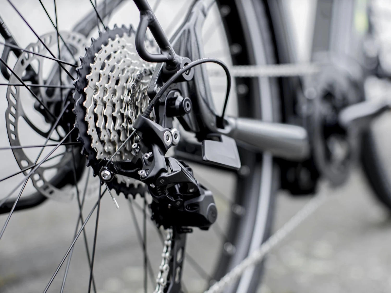 Trek Allant+ 8S Stagger (2023) - Image 11